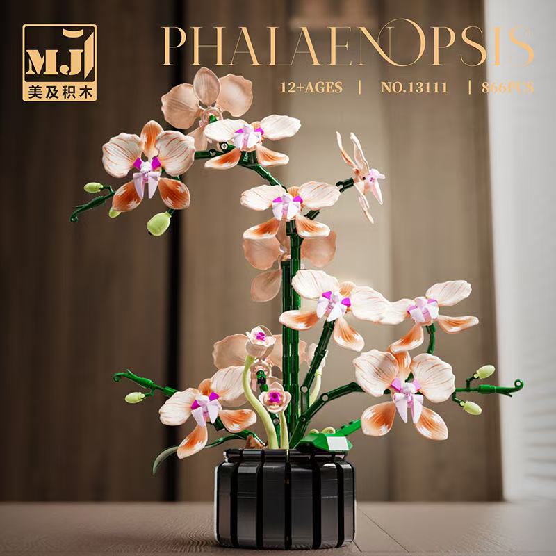 MJ 13111 Champagne Orchid - YWOBB