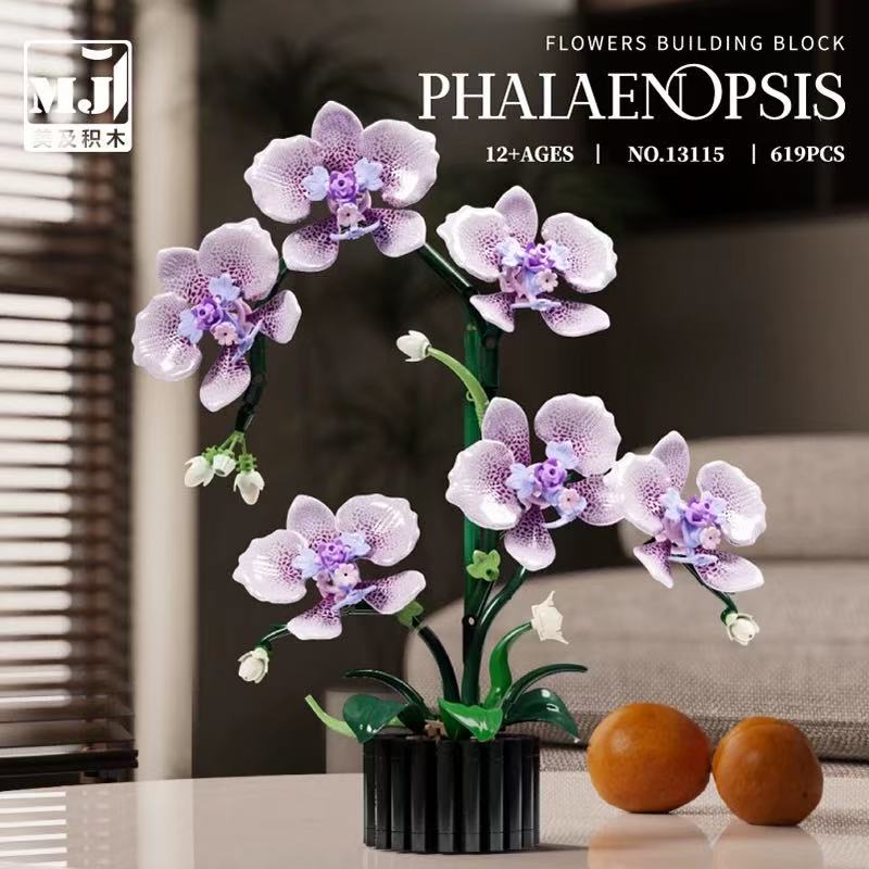 MJ 13115 Phalaenopsis - YWOBB