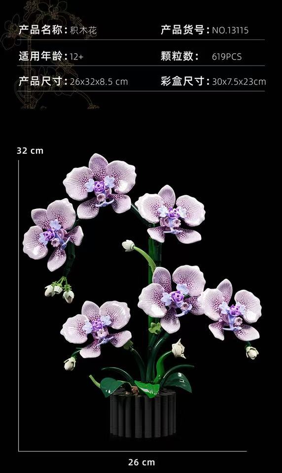 MJ 13115 Phalaenopsis - YWOBB