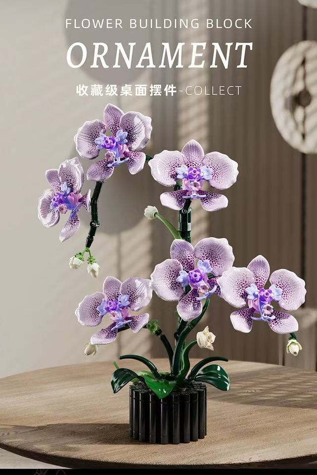 MJ 13115 Phalaenopsis - YWOBB