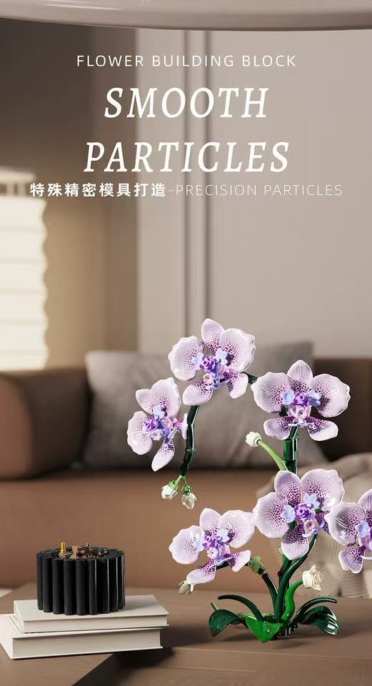 MJ 13115 Phalaenopsis - YWOBB