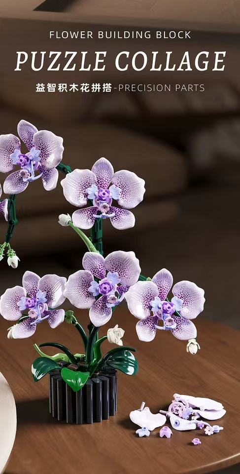 MJ 13115 Phalaenopsis - YWOBB