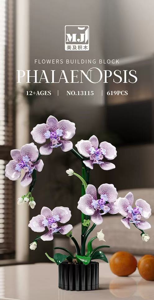 MJ 13115 Phalaenopsis - YWOBB