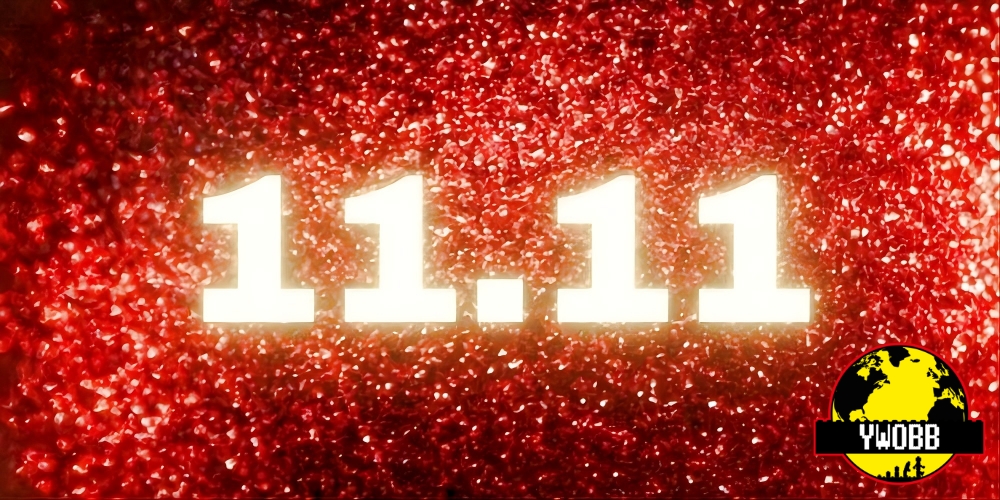 YOURWOBB 2025 Double 11 Promotion!! - YWOBB