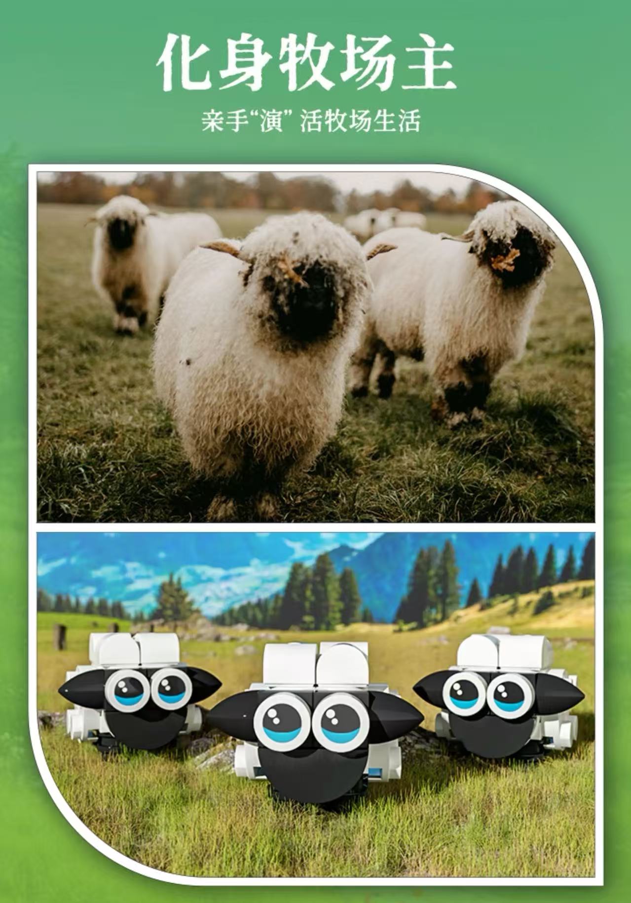 FunWhole L9094 Shepherd's Cottage - YWOBB