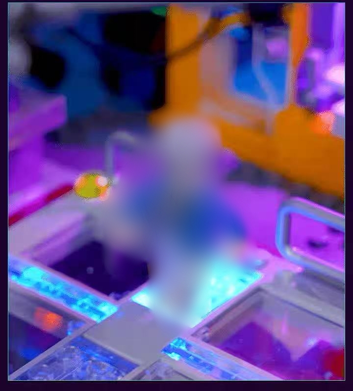 FunWhole L9095 Arcade - YWOBB