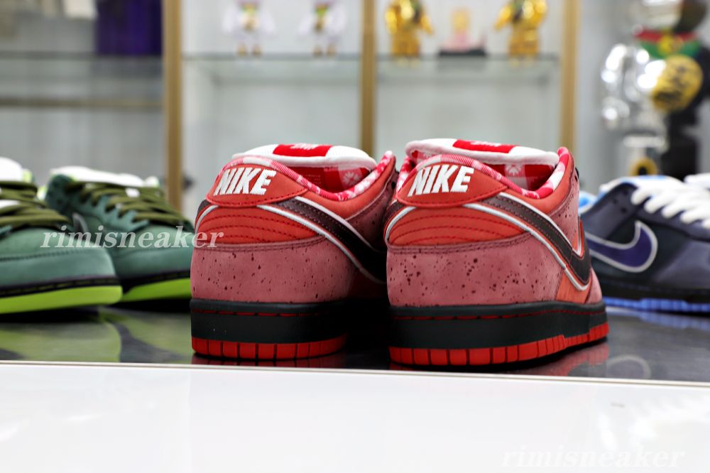 CONCEPTS X DUNK LOW SB