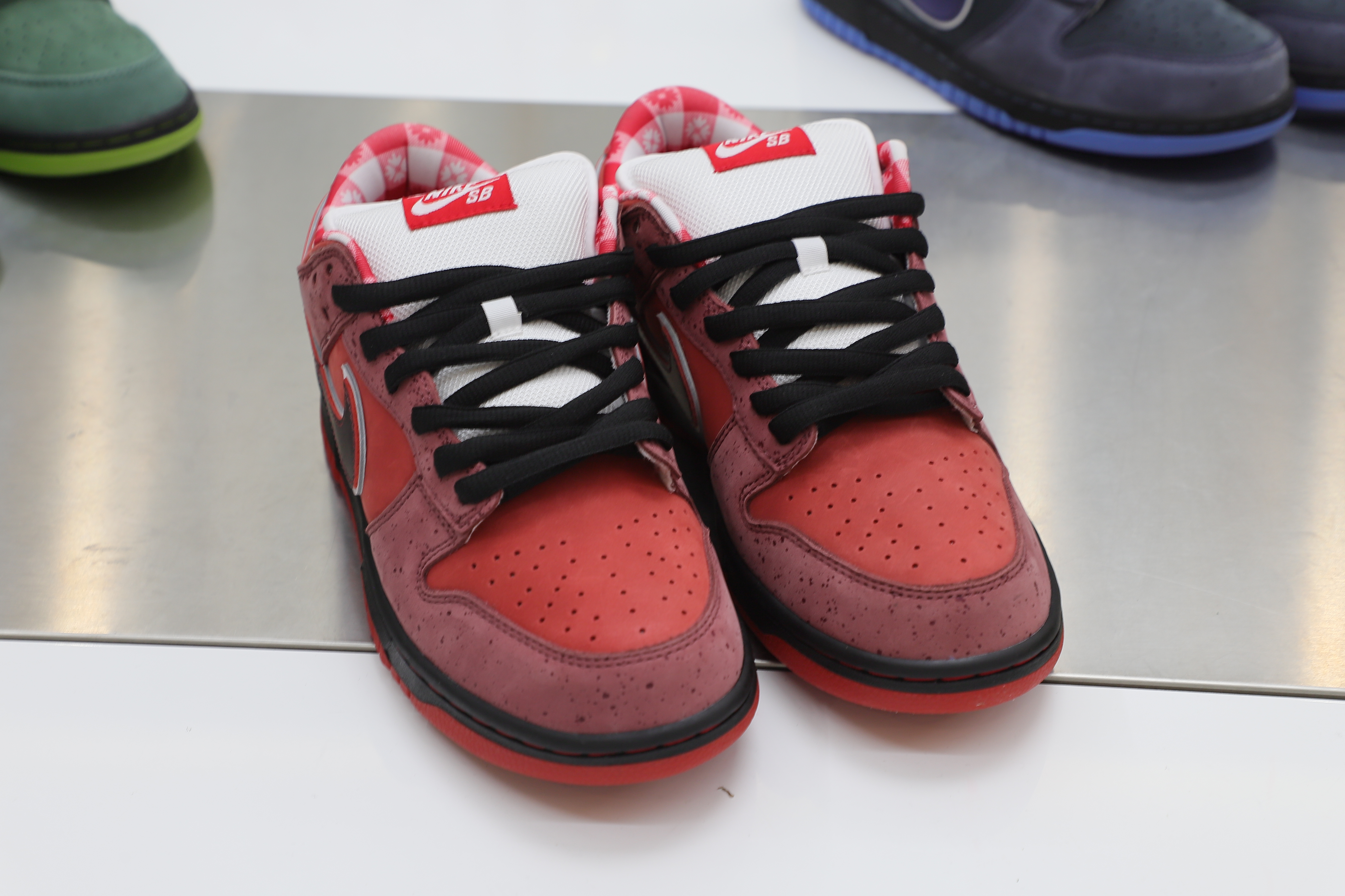 CONCEPTS X DUNK LOW SB