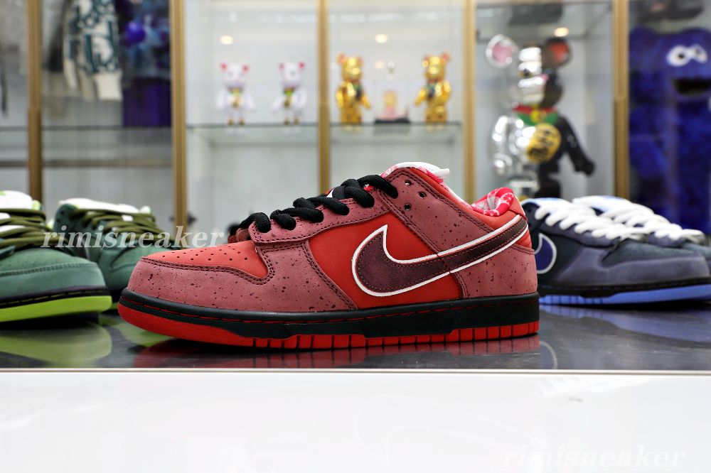 CONCEPTS X DUNK LOW SB