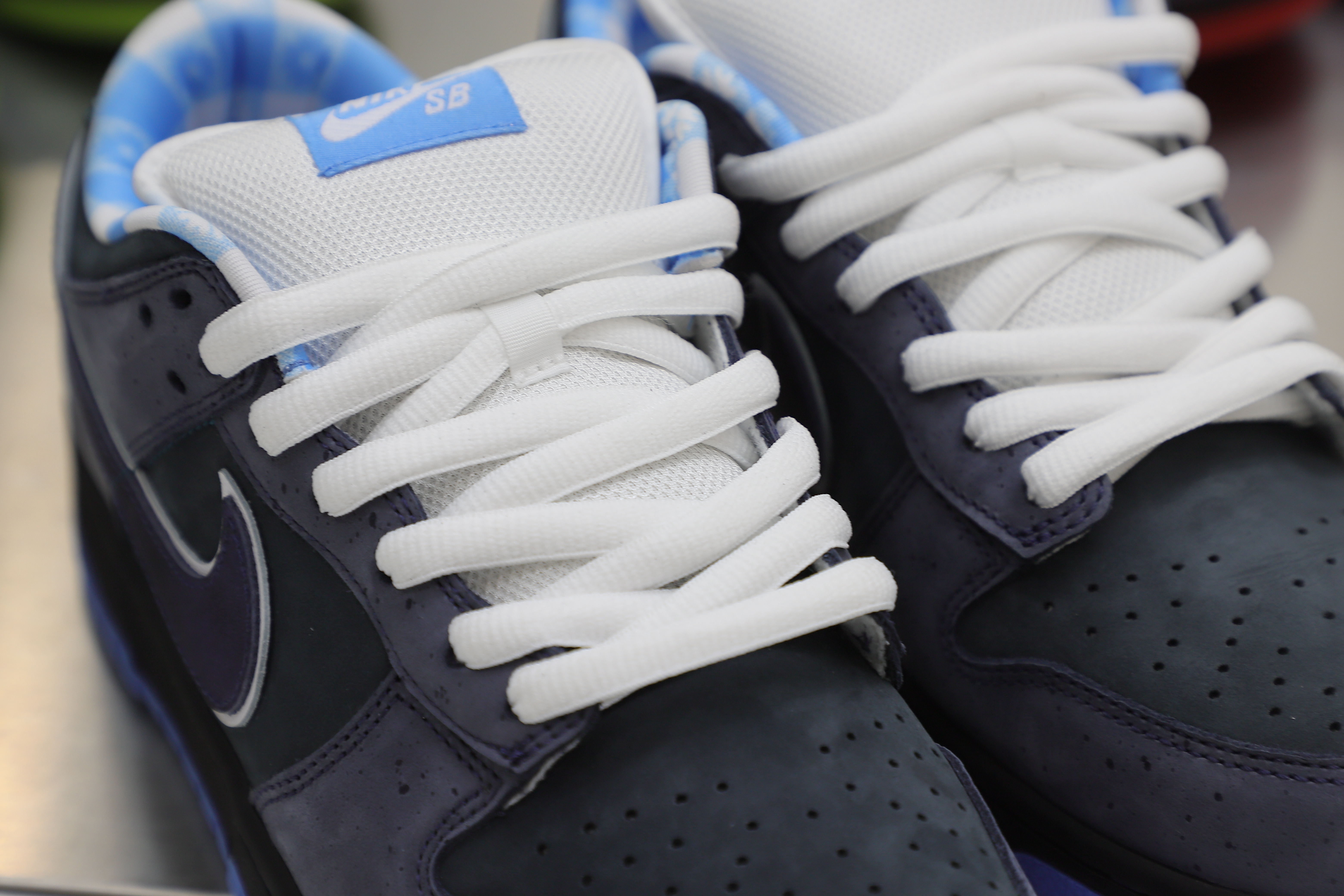 CONCEPTS X DUNK LOW SB