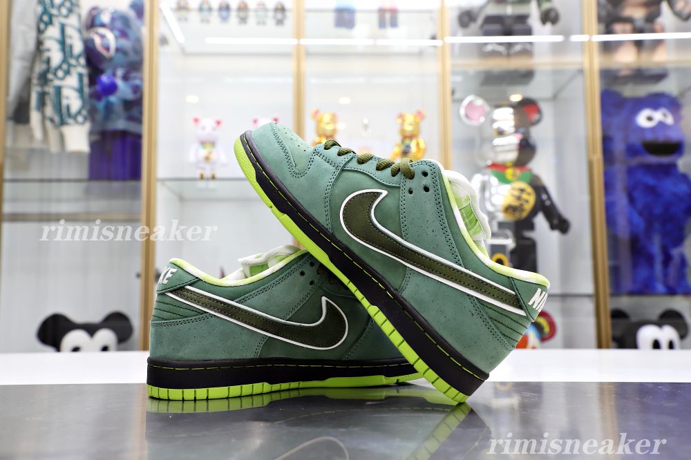 CONCEPTS X DUNK LOW SB