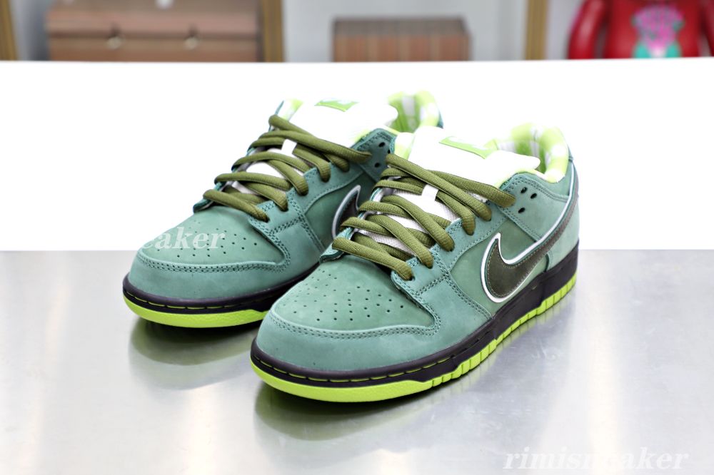 CONCEPTS X DUNK LOW SB