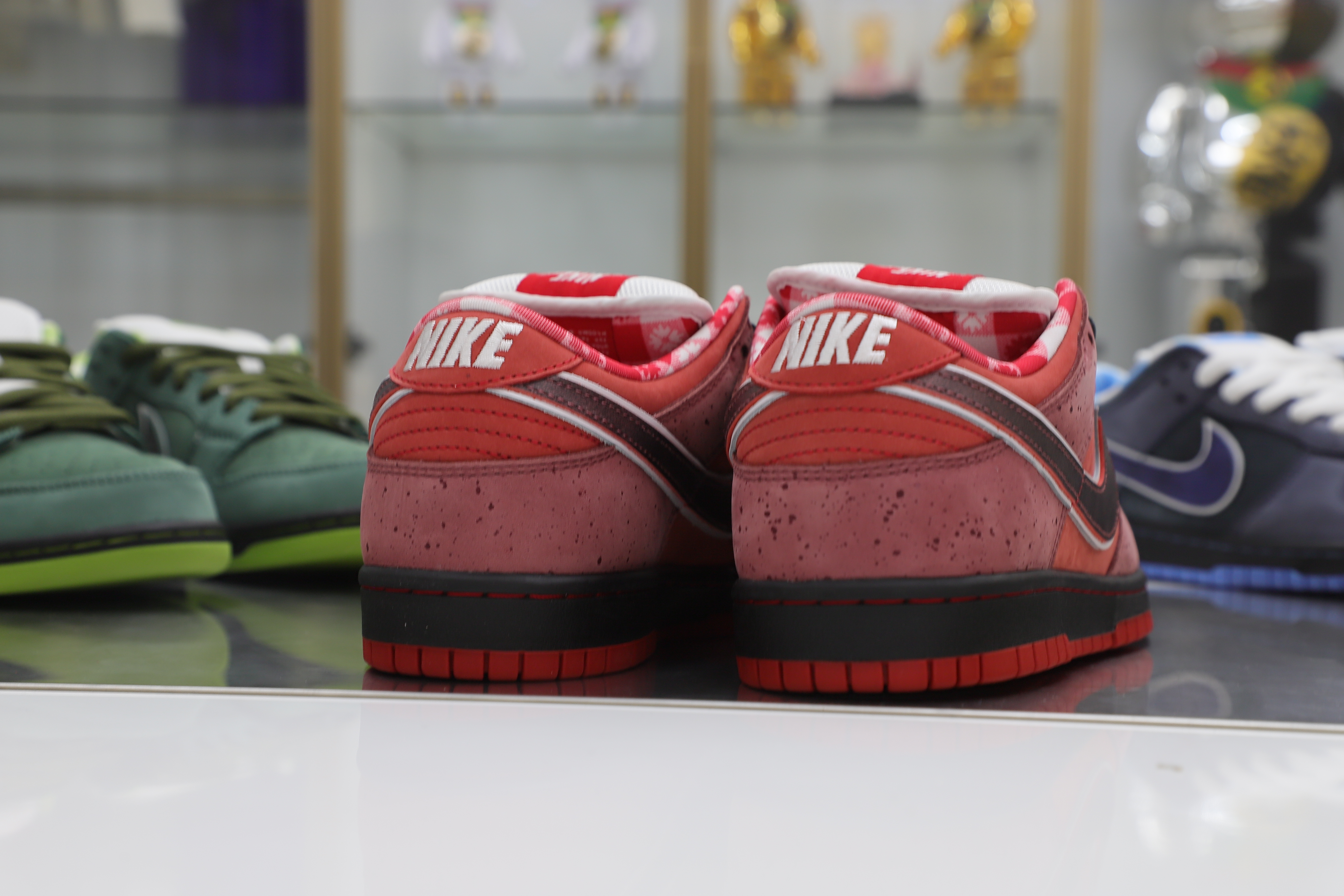 CONCEPTS X DUNK LOW SB