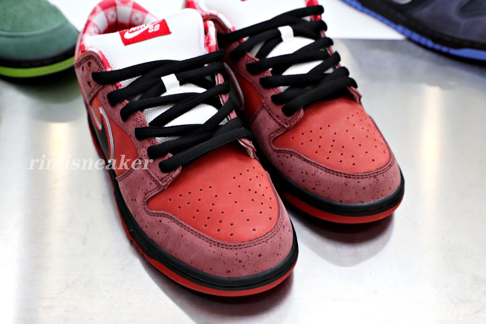 CONCEPTS X DUNK LOW SB