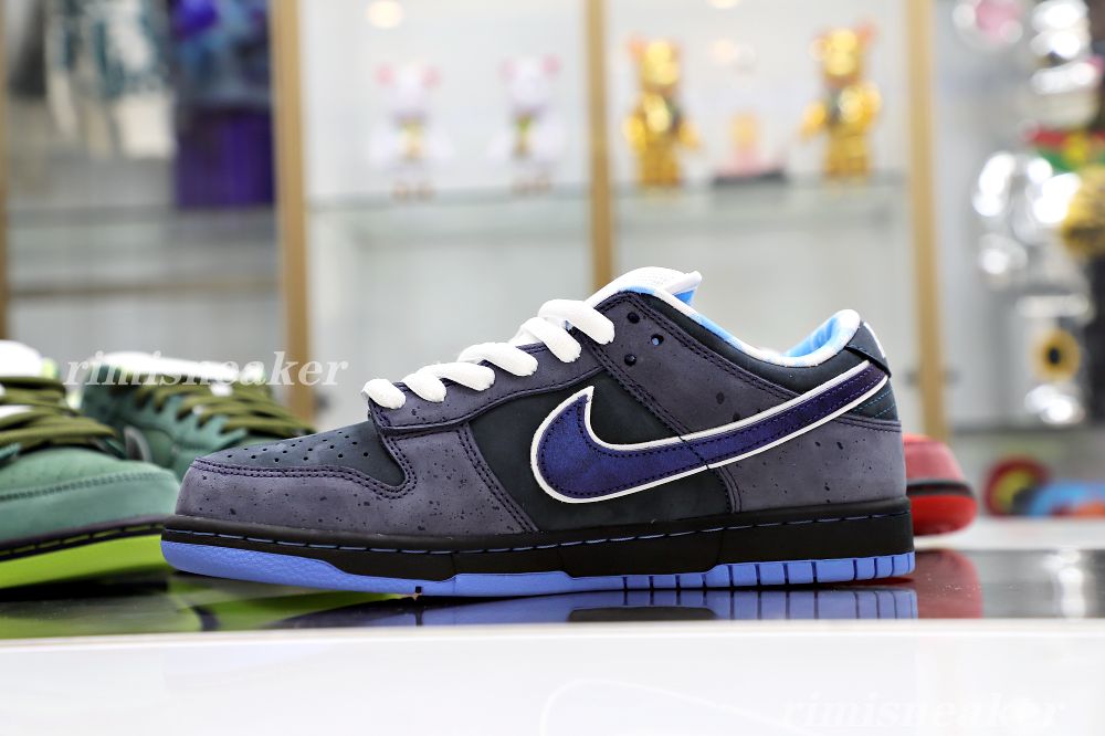 CONCEPTS X DUNK LOW SB
