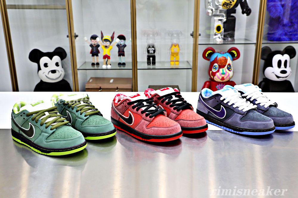 CONCEPTS X DUNK LOW SB