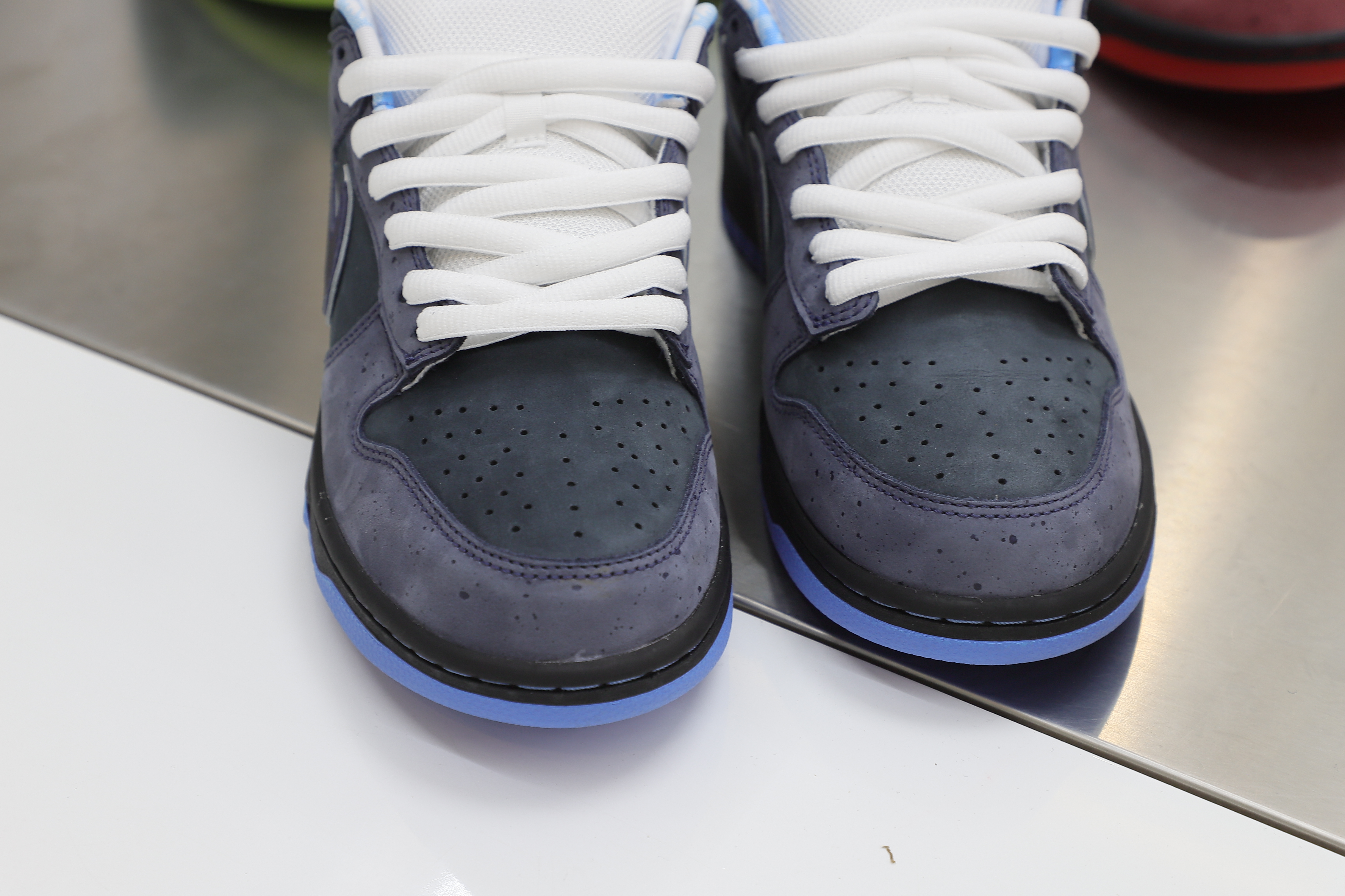 CONCEPTS X DUNK LOW SB