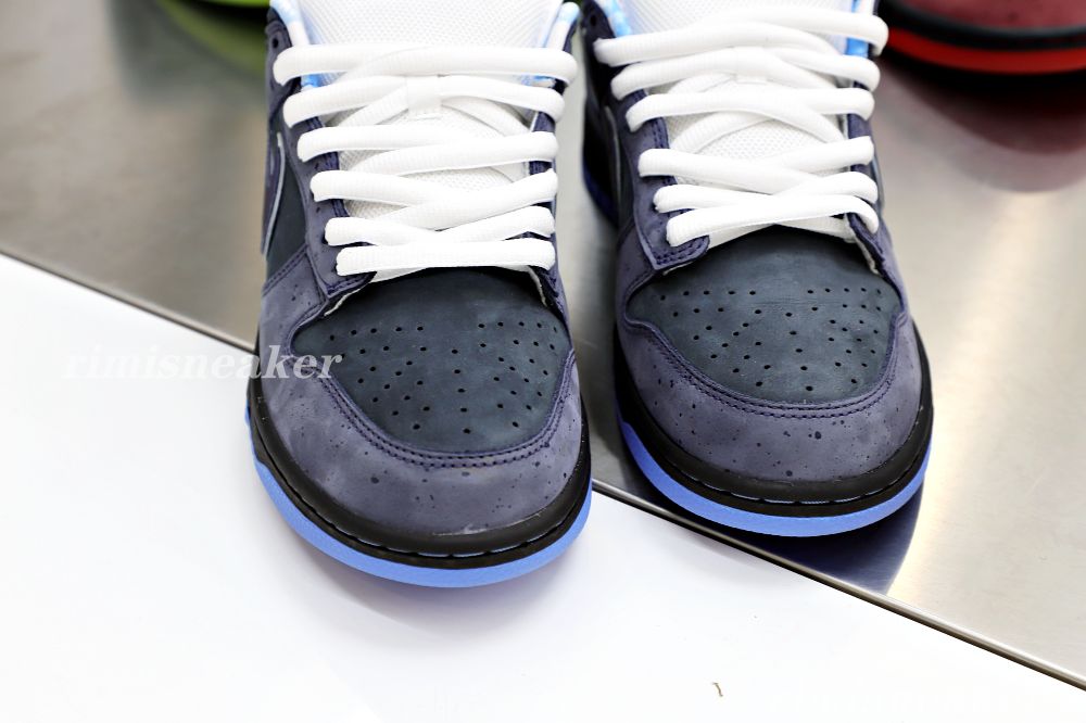 CONCEPTS X DUNK LOW SB