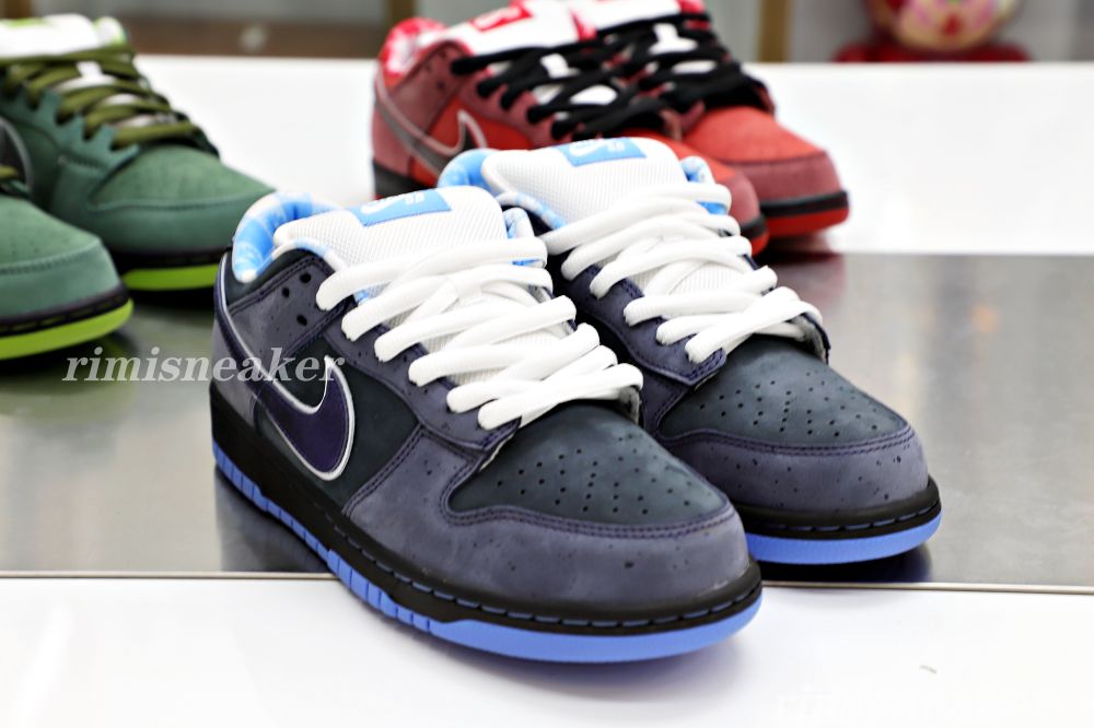 CONCEPTS X DUNK LOW SB