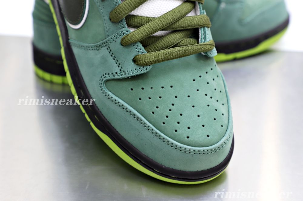 CONCEPTS X DUNK LOW SB