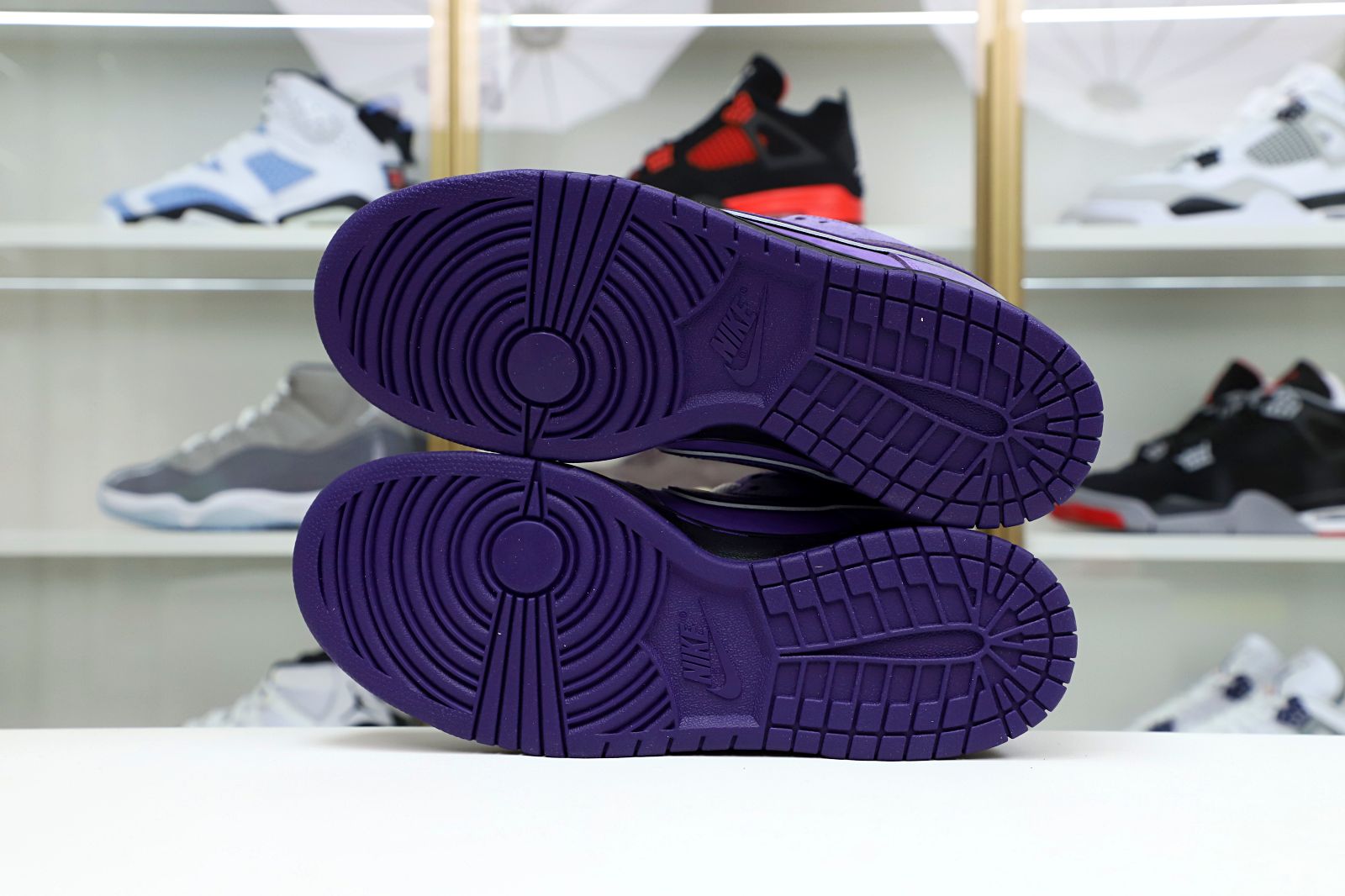 Concepts x Nike SB Dunk Low Pro OG QS