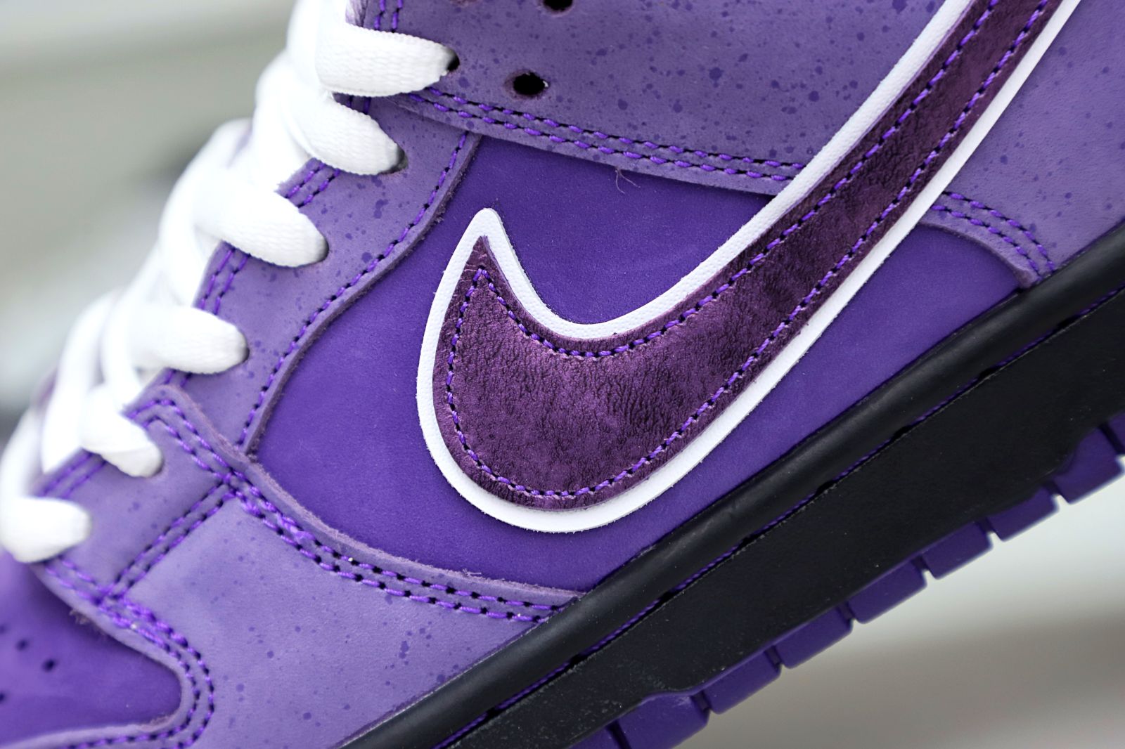 Concepts x Nike SB Dunk Low Pro OG QS