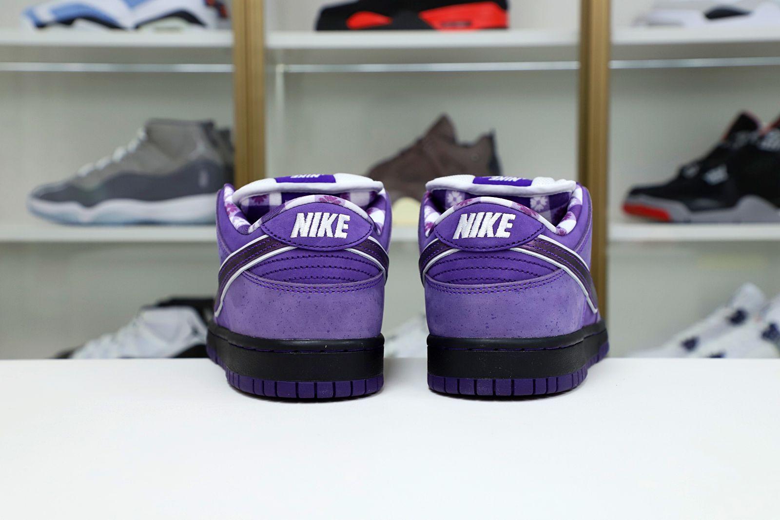 Concepts x Nike SB Dunk Low Pro OG QS