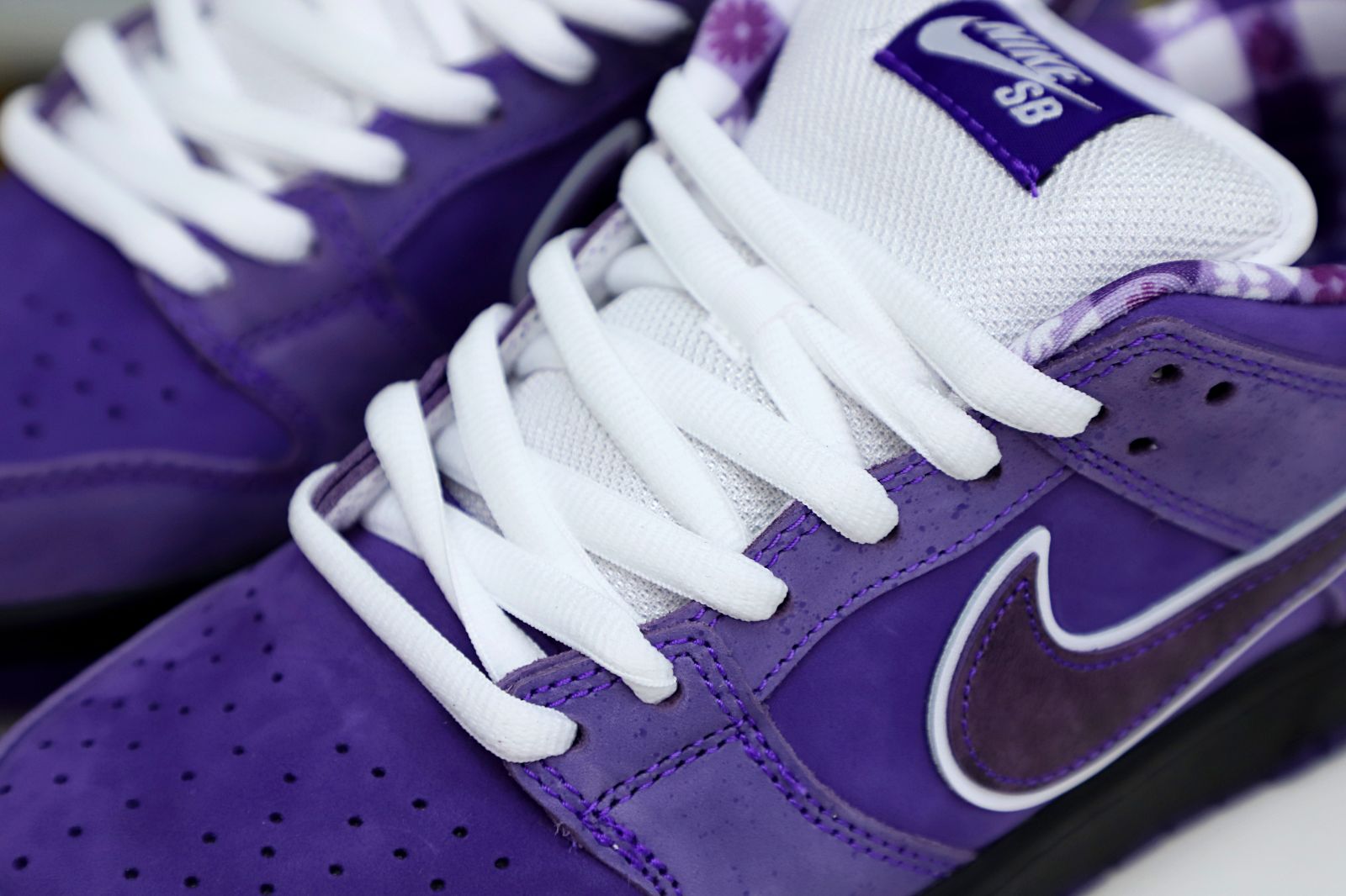 Concepts x Nike SB Dunk Low Pro OG QS