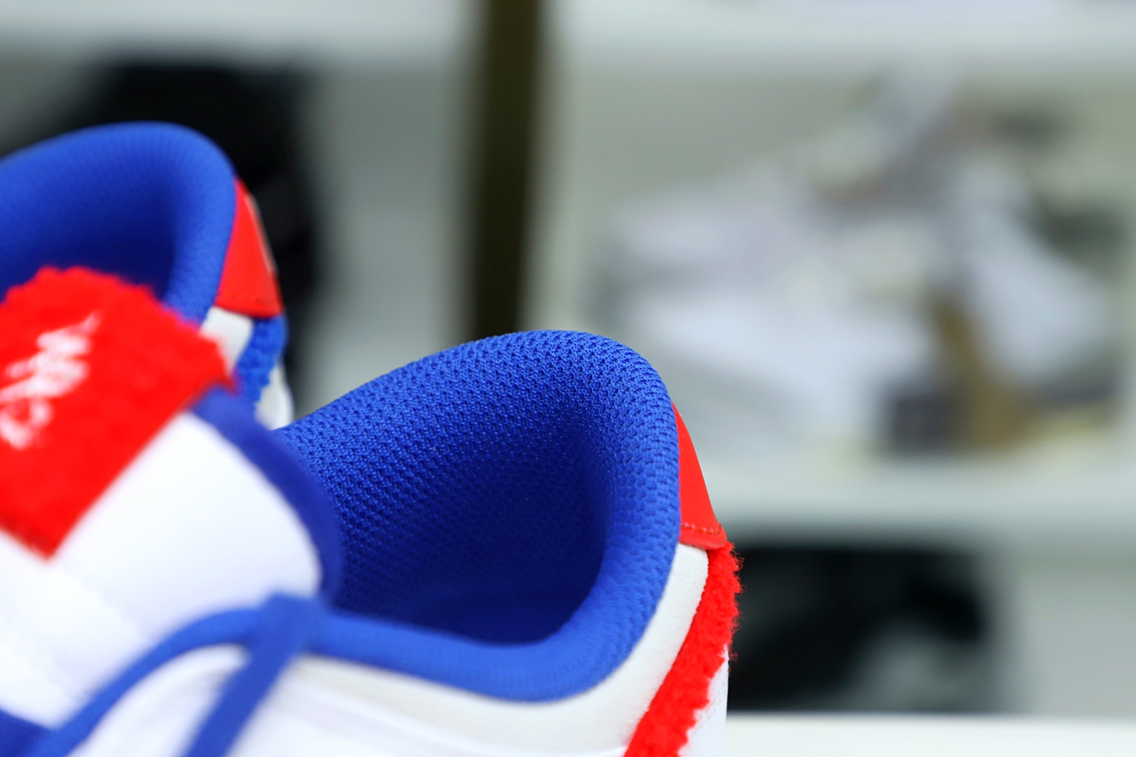 Nike Dunk Low