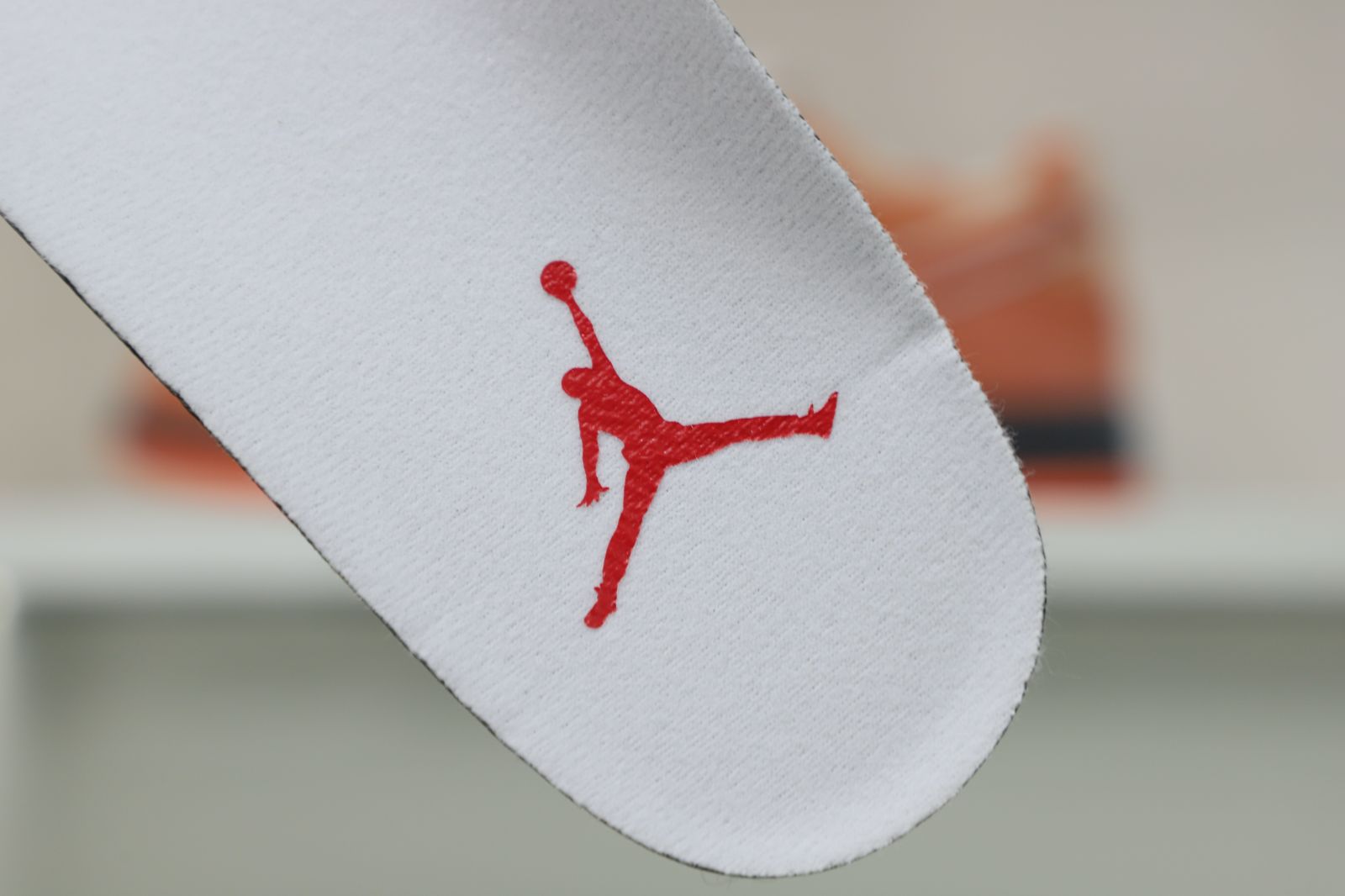 Jordan Air Jordan 13
