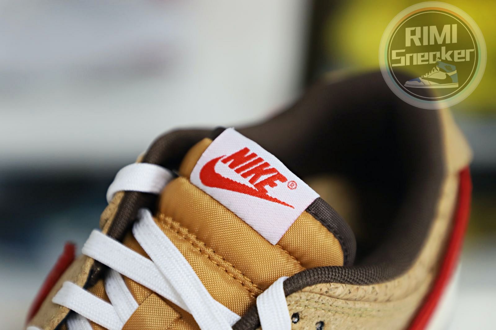 CLOT xNike Dunk LowSP CNGCEL