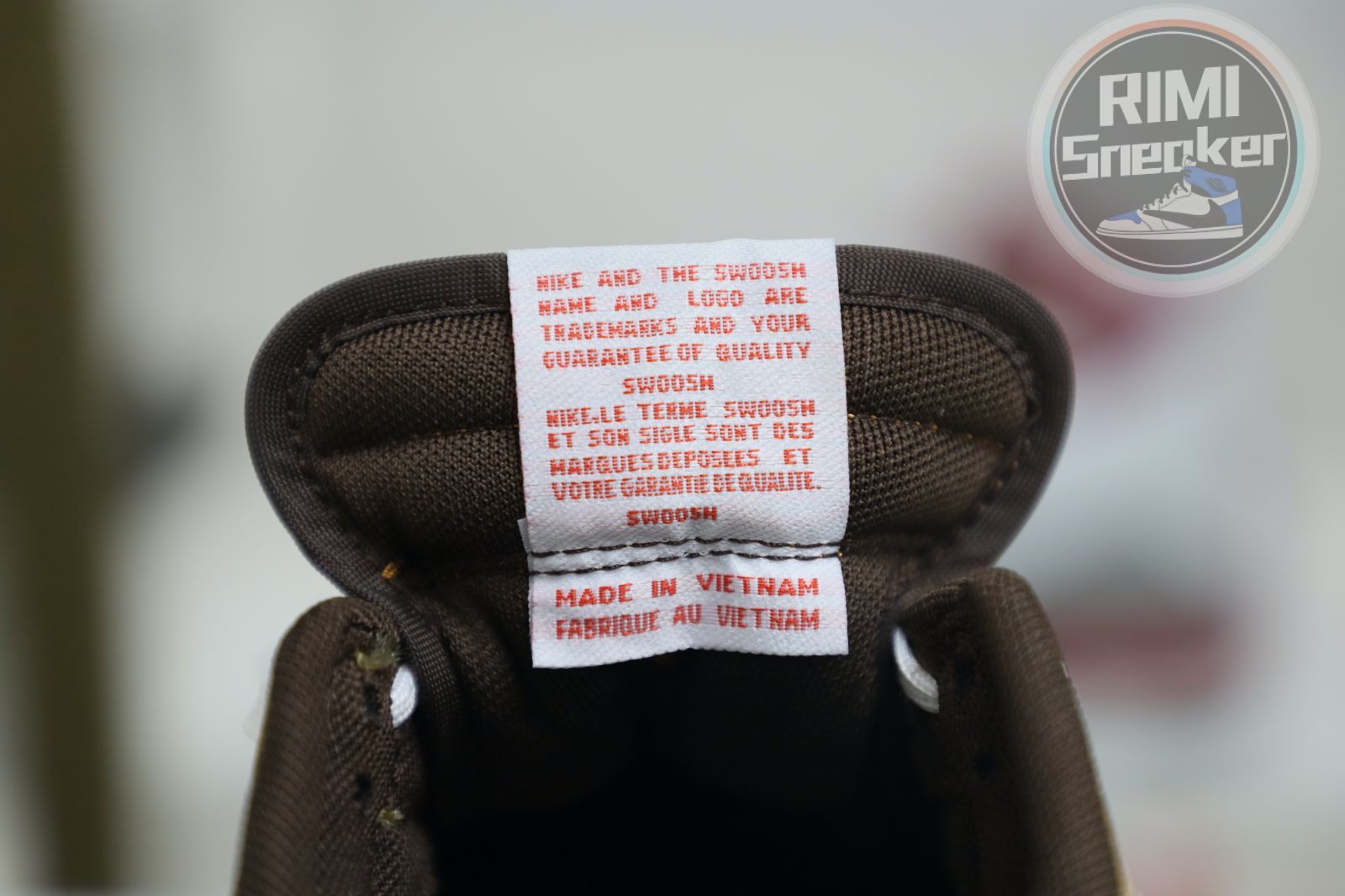 CLOT xNike Dunk LowSP CNGCEL