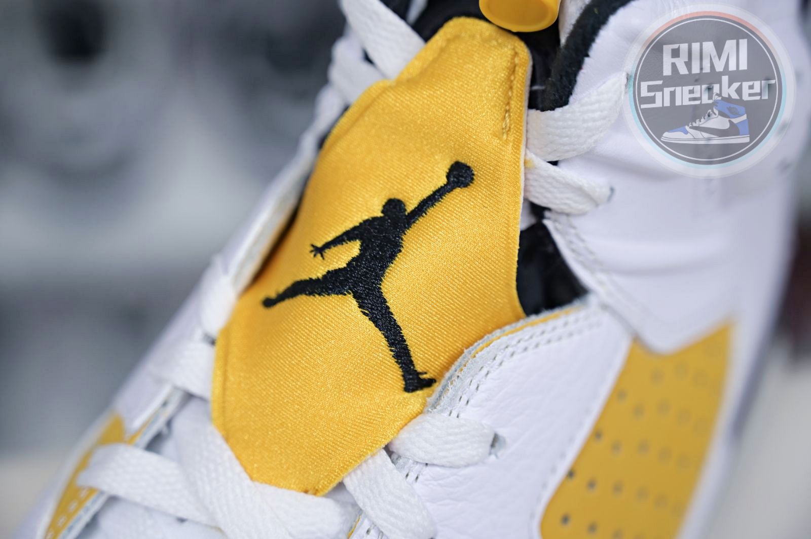 Air Jordan 6