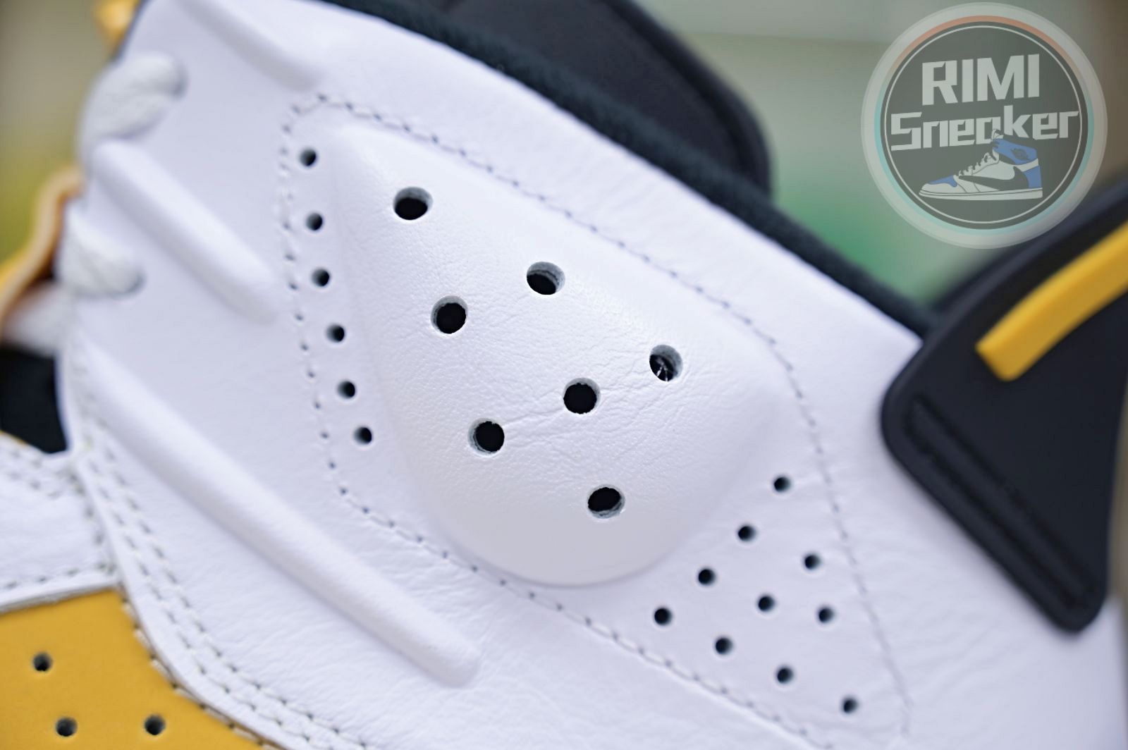 Air Jordan 6