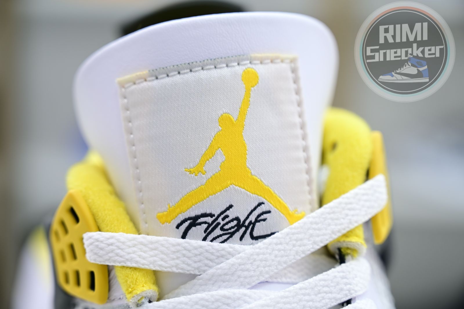 Jordan Air Jordan 4