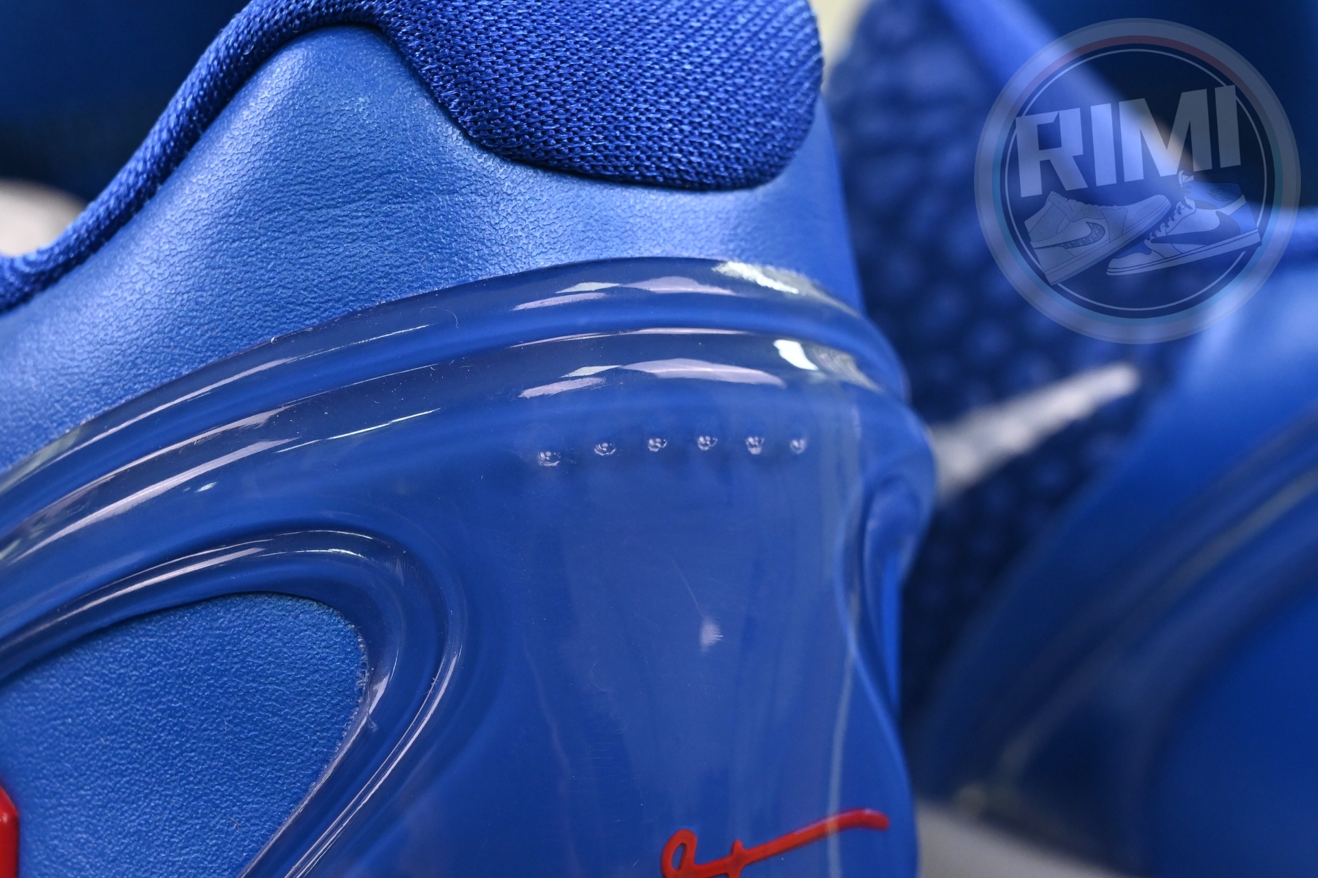 Nike Zoom Kobe 6 Protro“Dodgers”PE