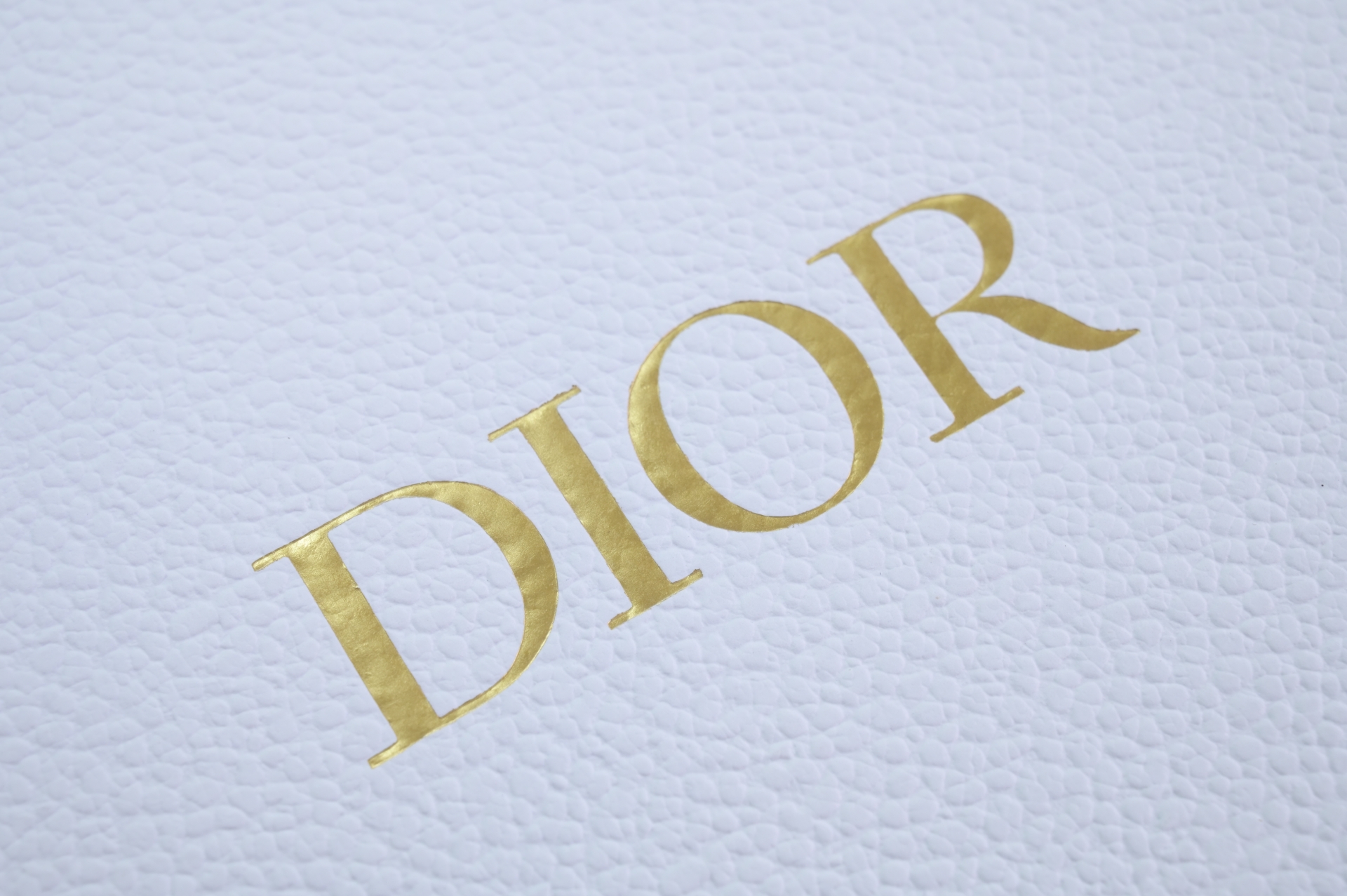 DIOR Lady Dio