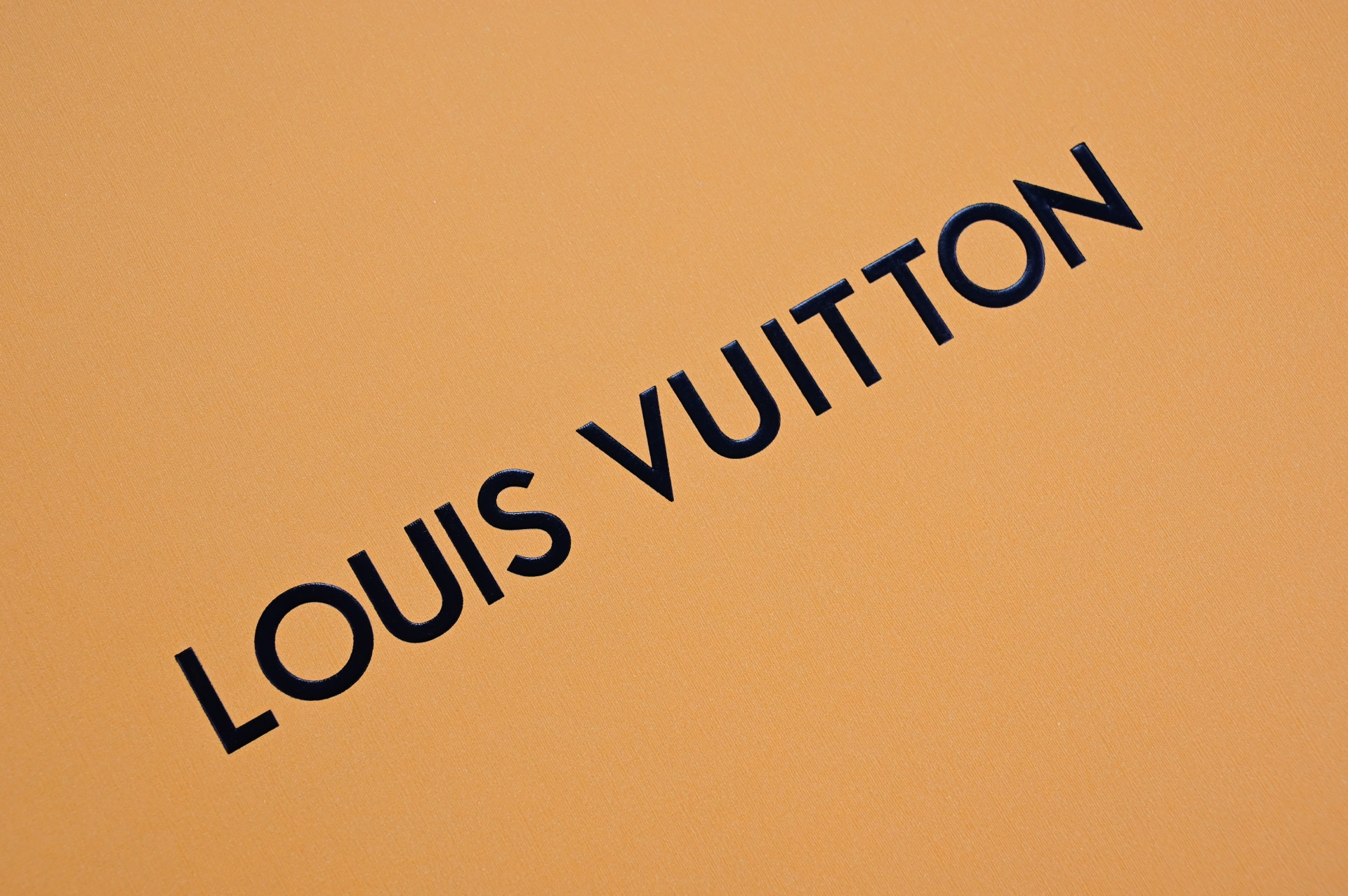 LOUIS VUITTON Discovery