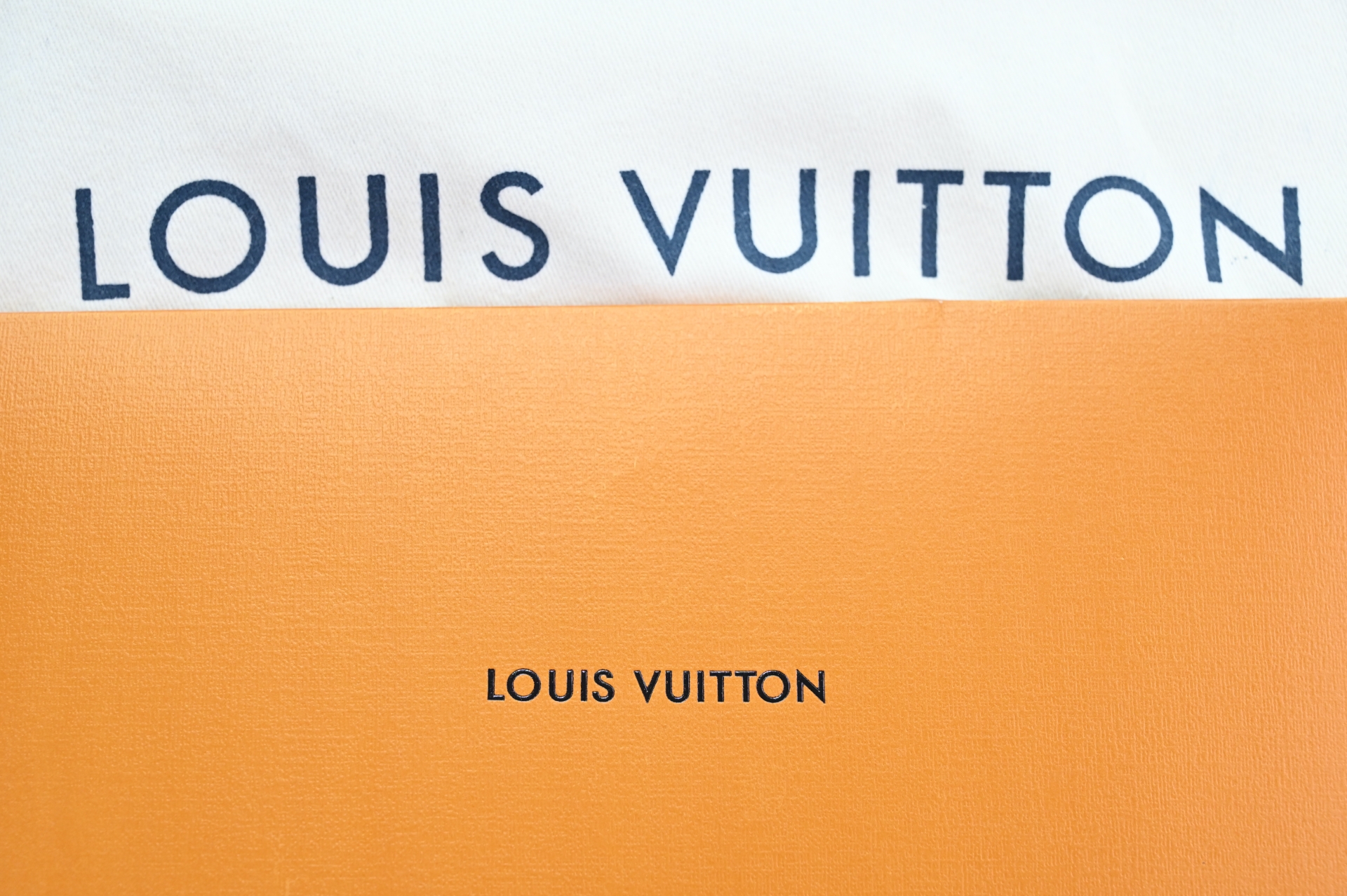 LOUIS VUITTON Discovery