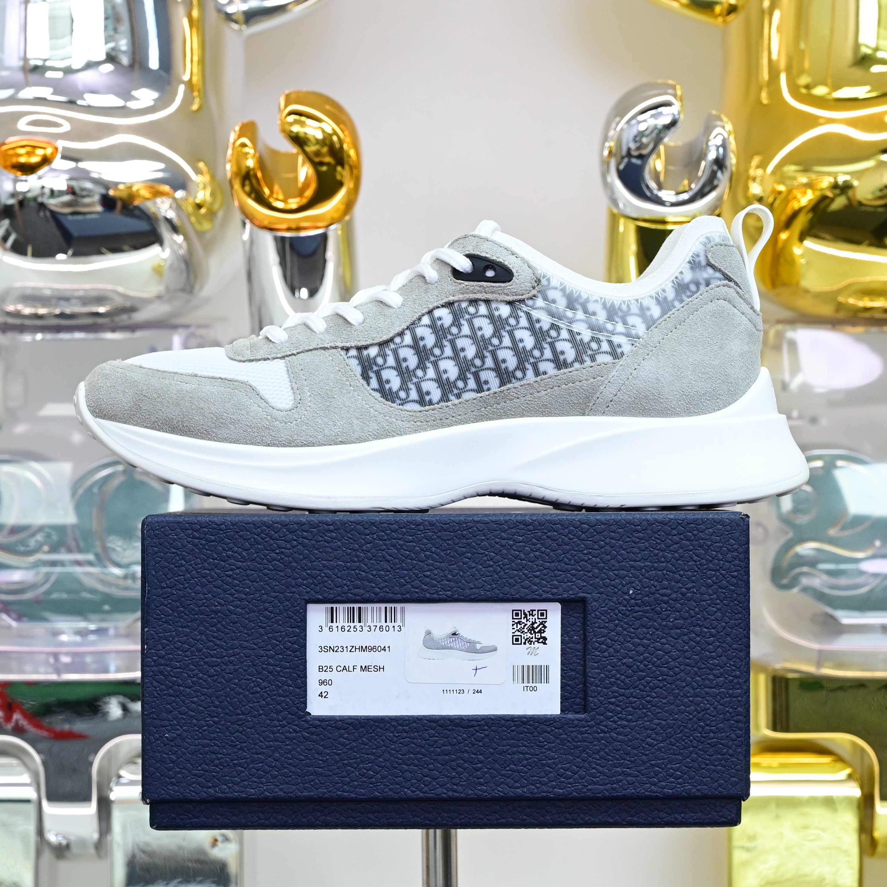 DIOR B25