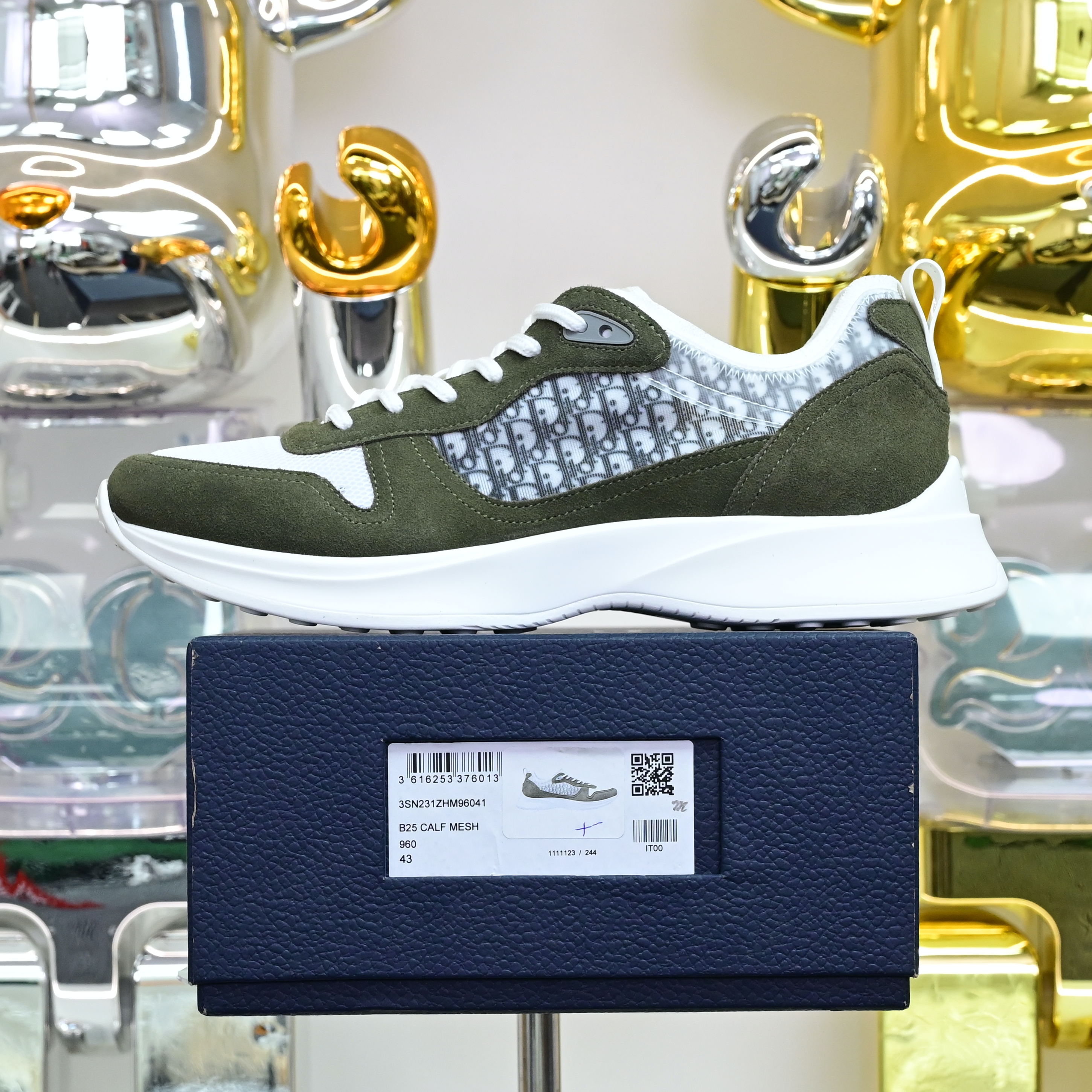 DIOR B25