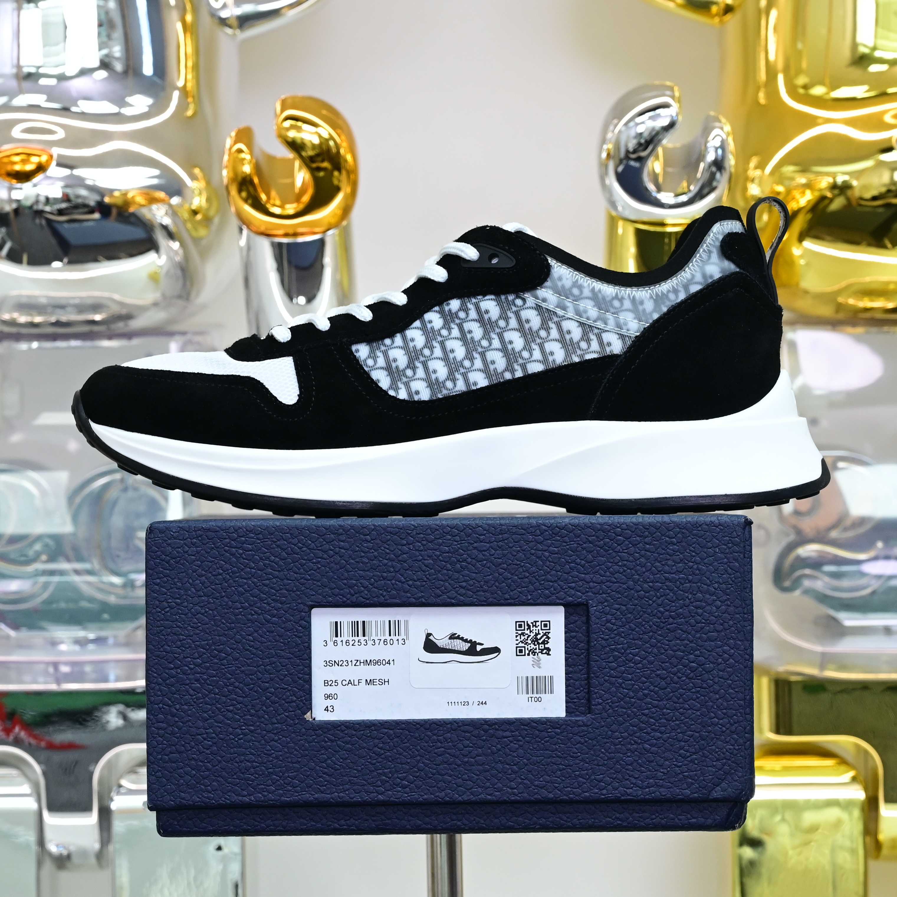 DIOR B25