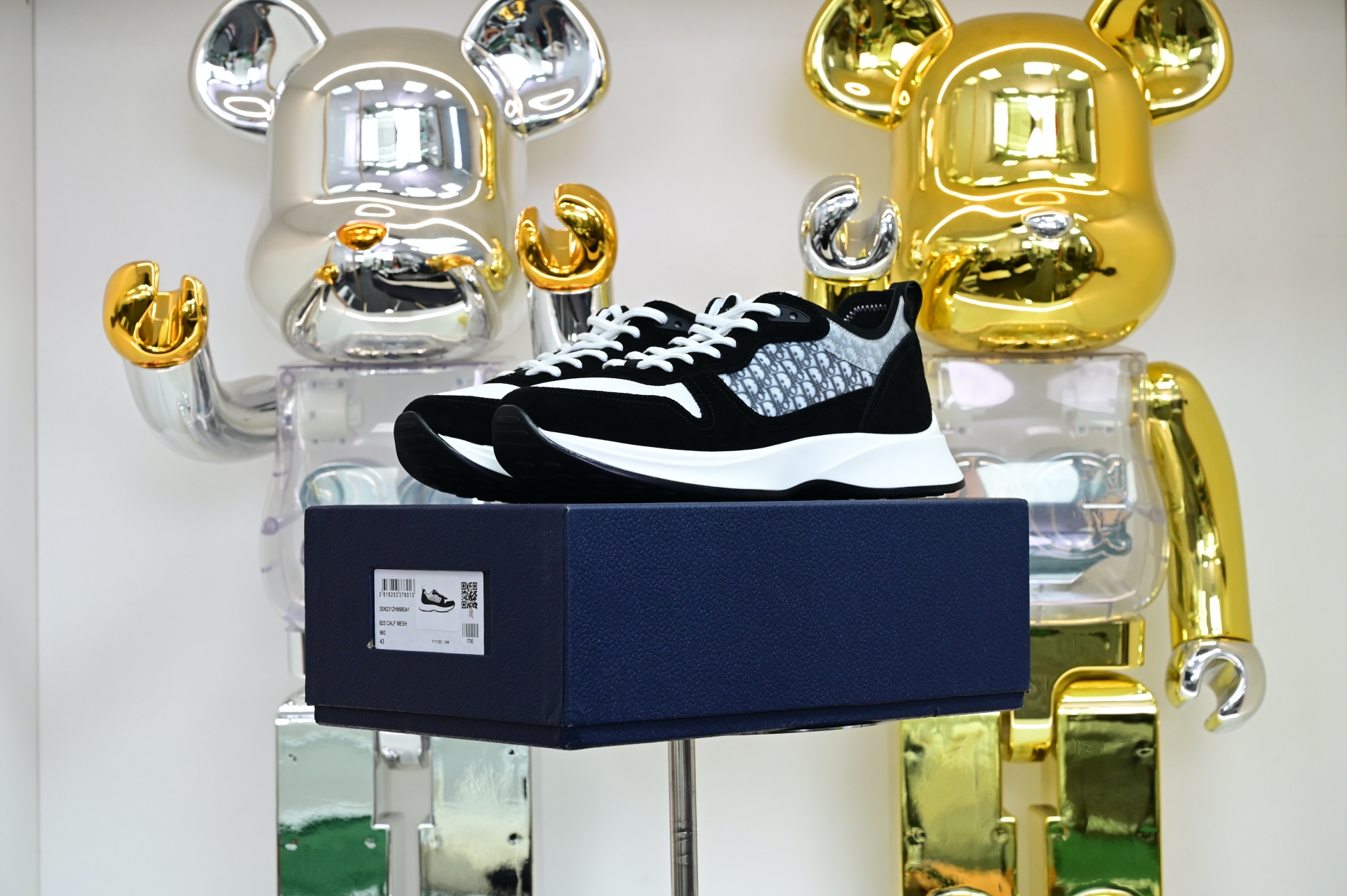 DIOR B25