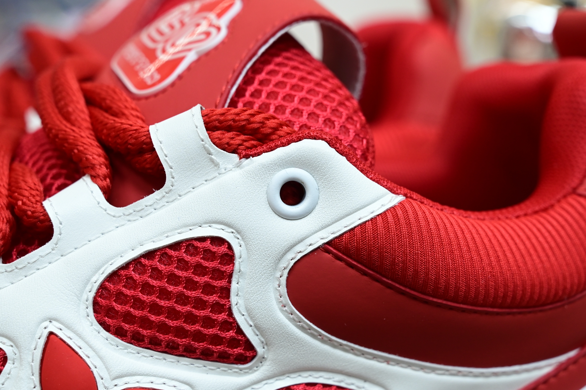 Louis Vuitton  LV  Skate