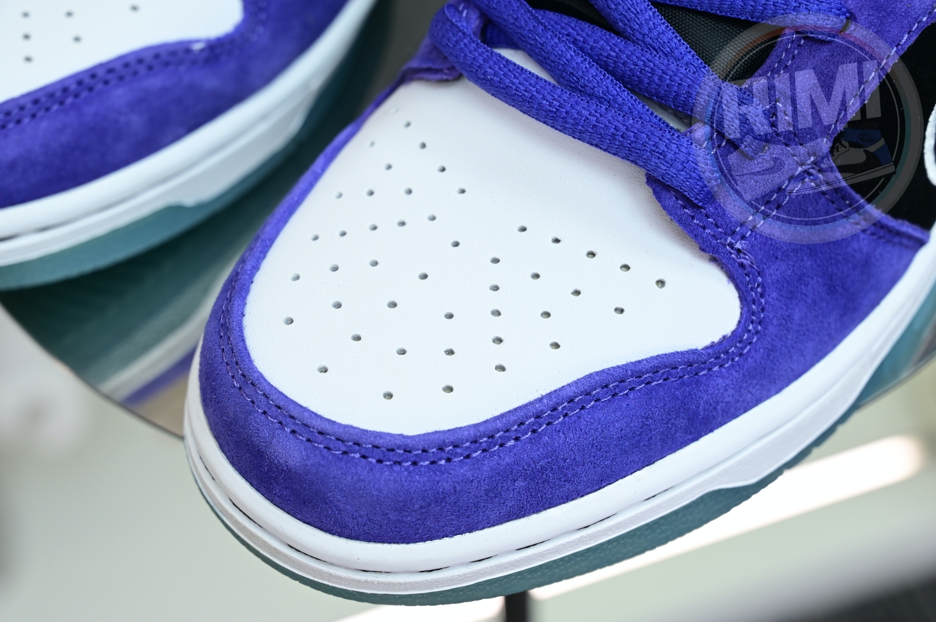 Hayley Wilson x Nike Dunk SB DUNK LOW PRO  HJ0513-500