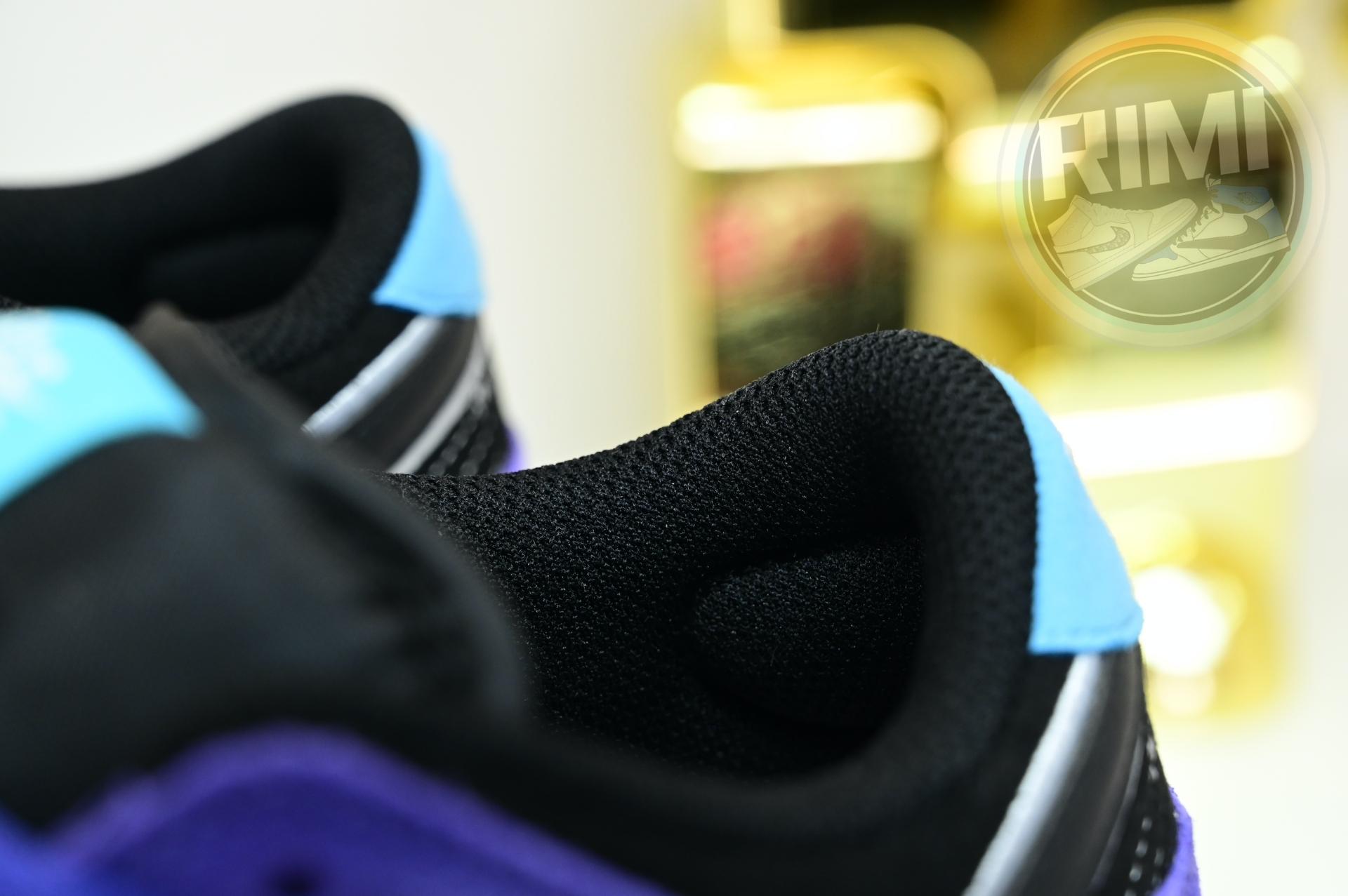 Hayley Wilson x Nike Dunk SB DUNK LOW PRO  HJ0513-500