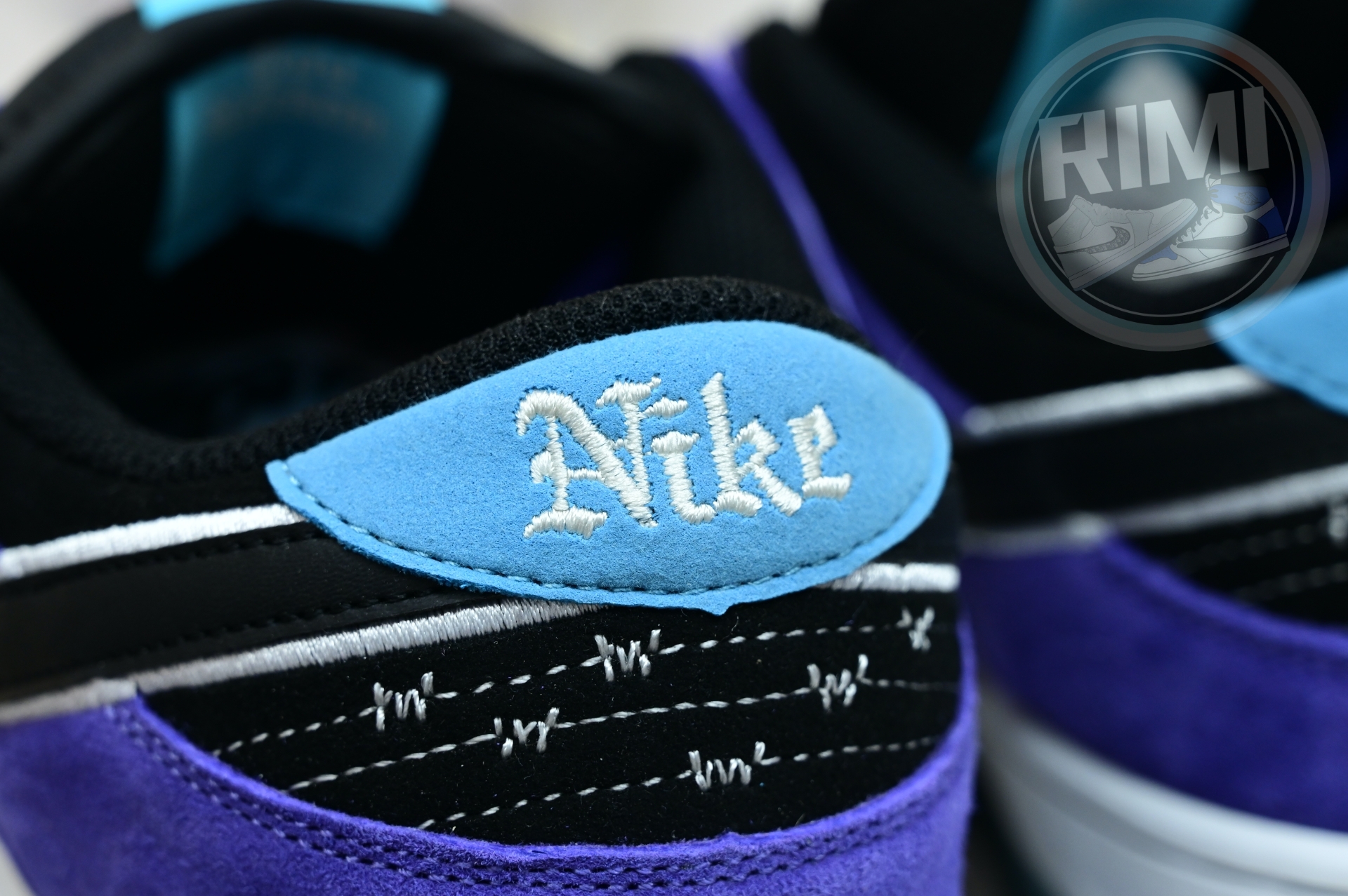 Hayley Wilson x Nike Dunk SB DUNK LOW PRO  HJ0513-500