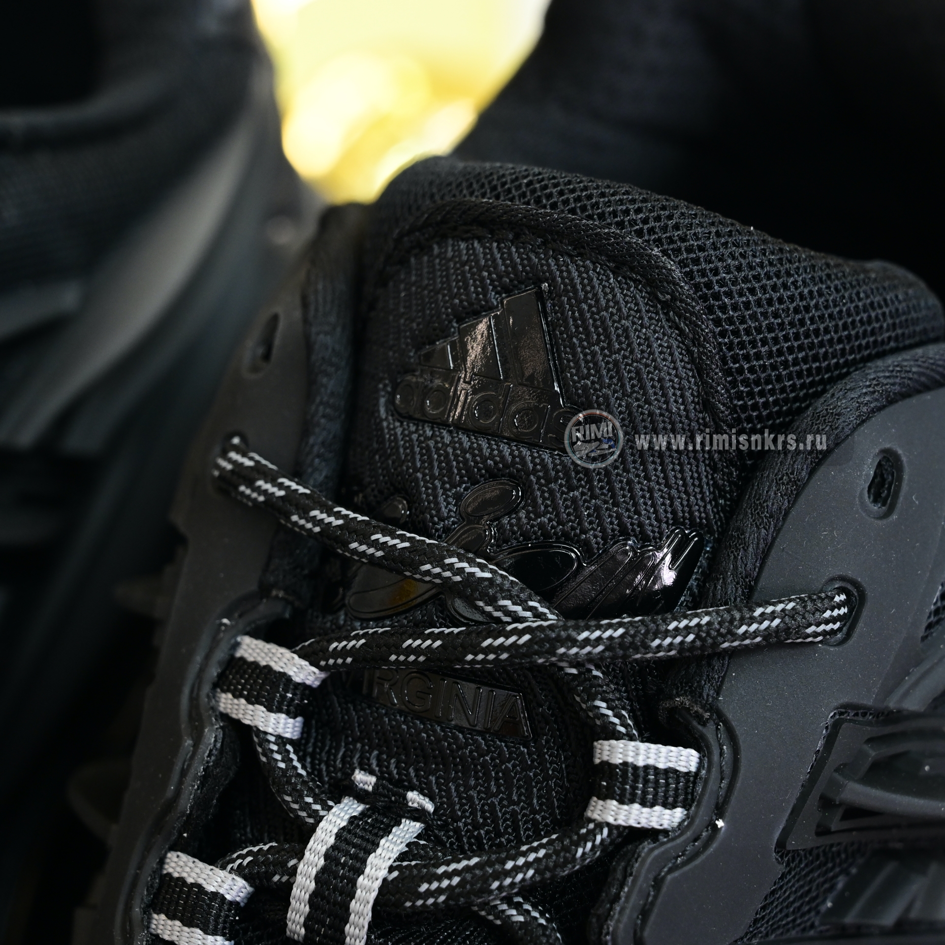 Pharrell x adidas Adistar Jellyfish JP9260