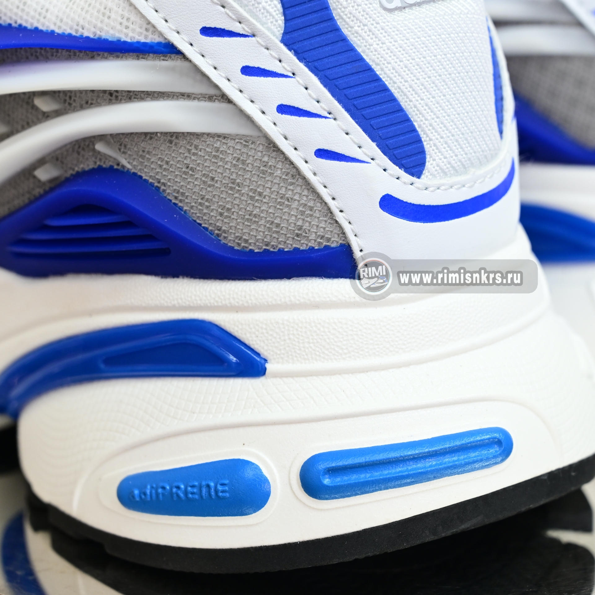 Pharrell x adidas Adistar Jellyfish JP9263