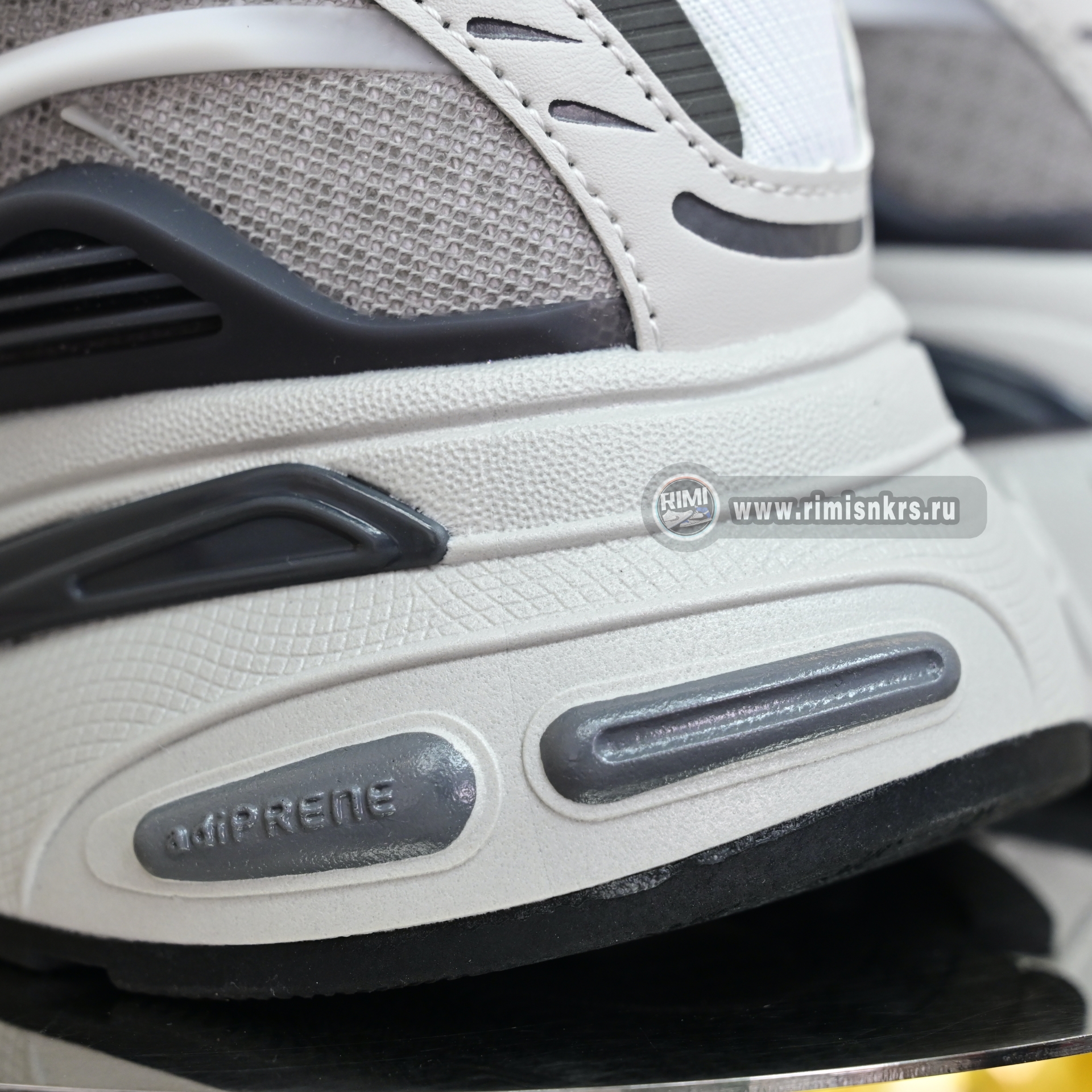 Pharrell x adidas Adistar Jellyfish  JP9262